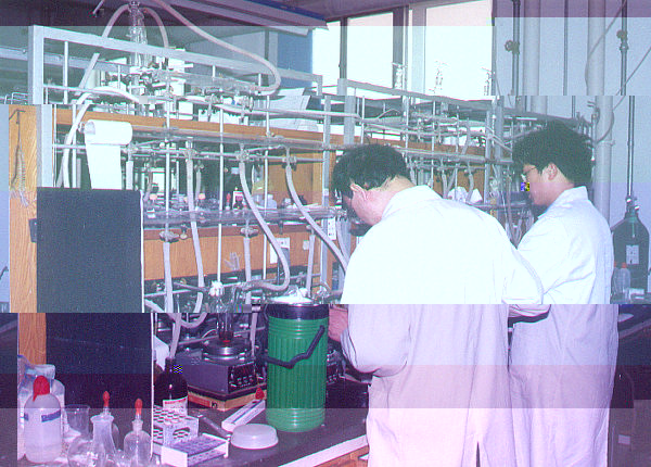 LAB