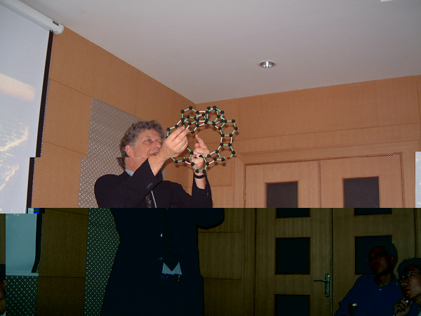 Professor Berkeley University visiting lectures