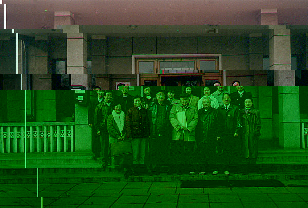 Xing Qiyi academician
