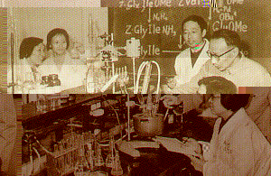 Xing Qiyi academician