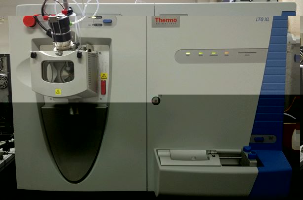 ThermoFisher LTQ XL