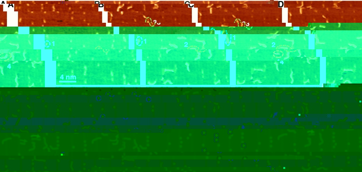 A picture containing calendarDescription automatically generated