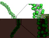 Chromatin