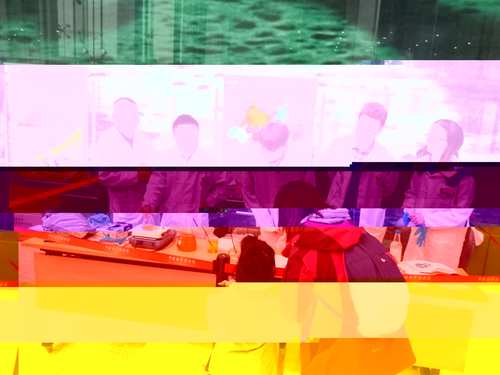E:\Àî«\¡¾3¡¿Ñ§Éú»á\¿Æ¼¼¹ÝÎÄ»¯½Ú\ÕÕÆ¬\IMG20190324094032.jpg