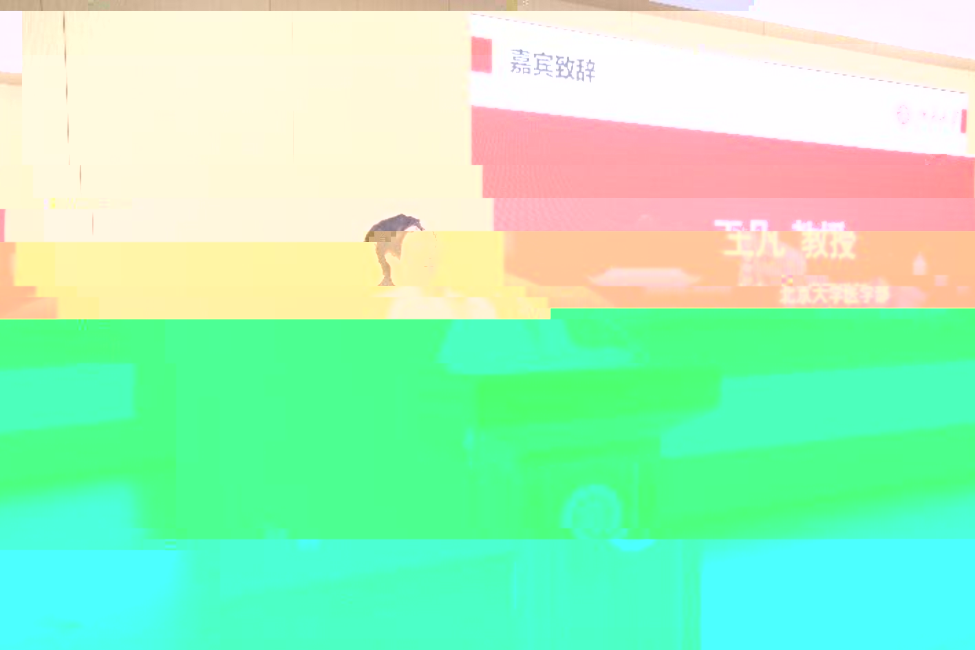 descript