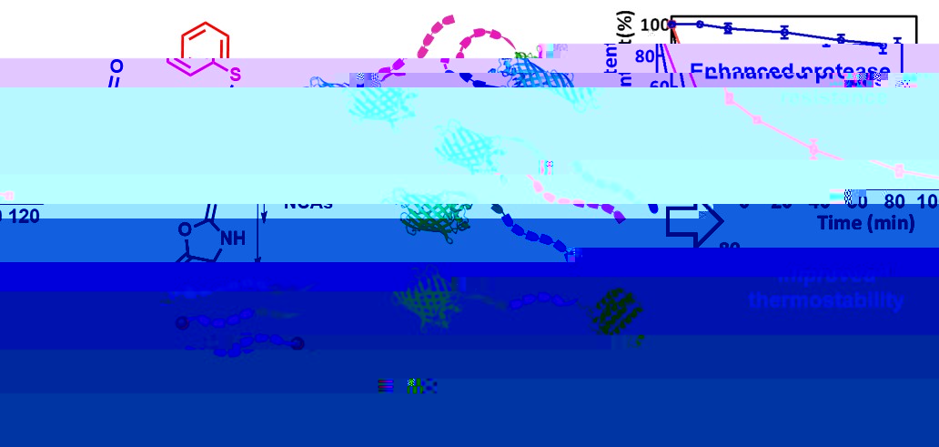 TOC-20160815-1