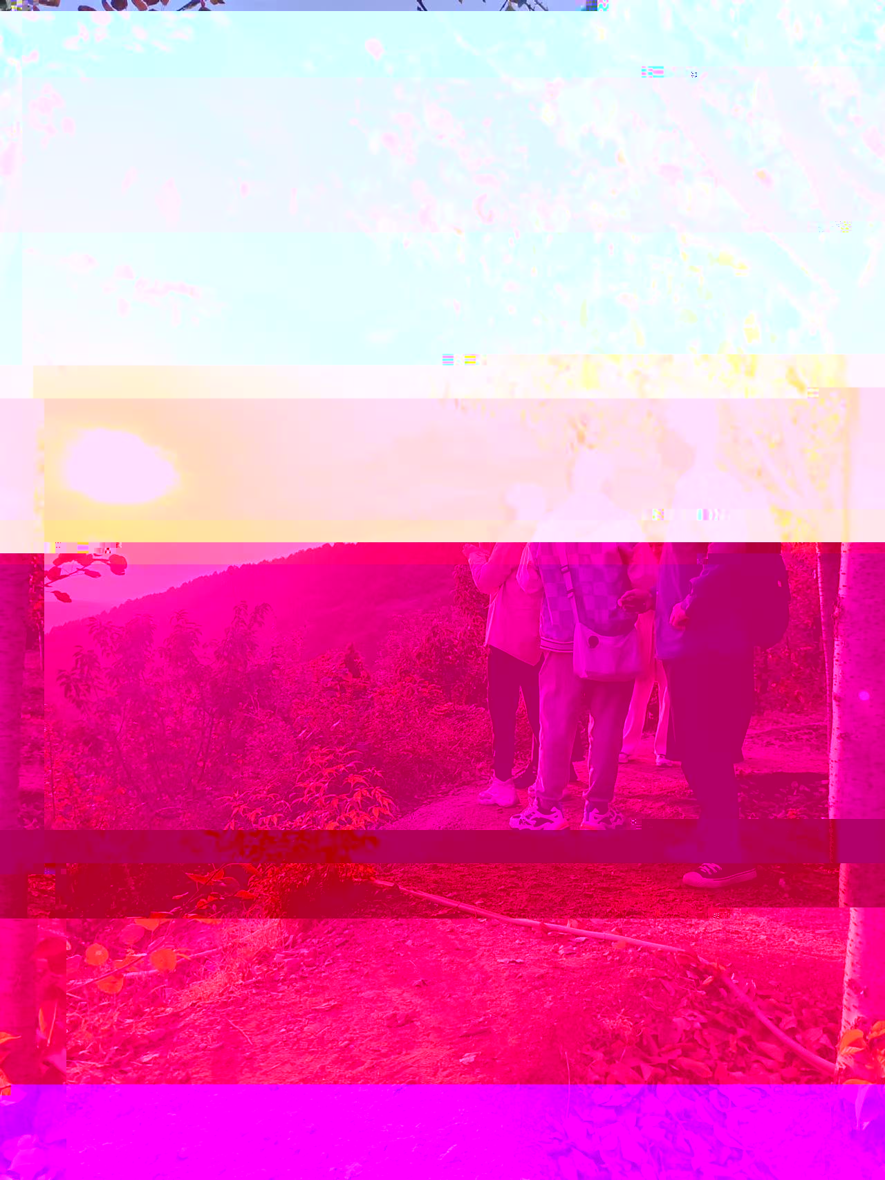 186f17b3943842ed9229ce49ef5a63a1.jpg