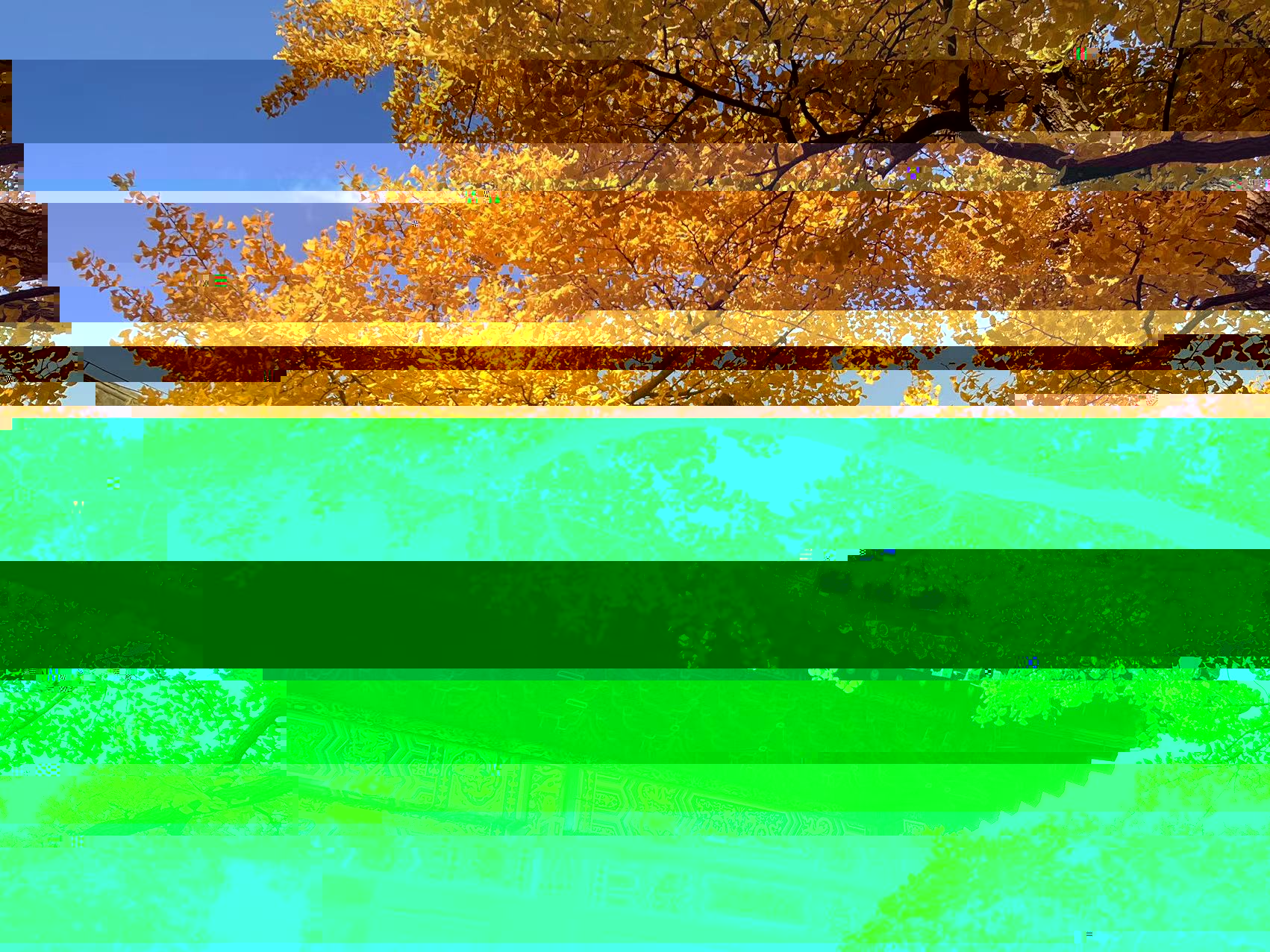 194b1d5a7d3e417ca921f34f5b249c6a.jpg