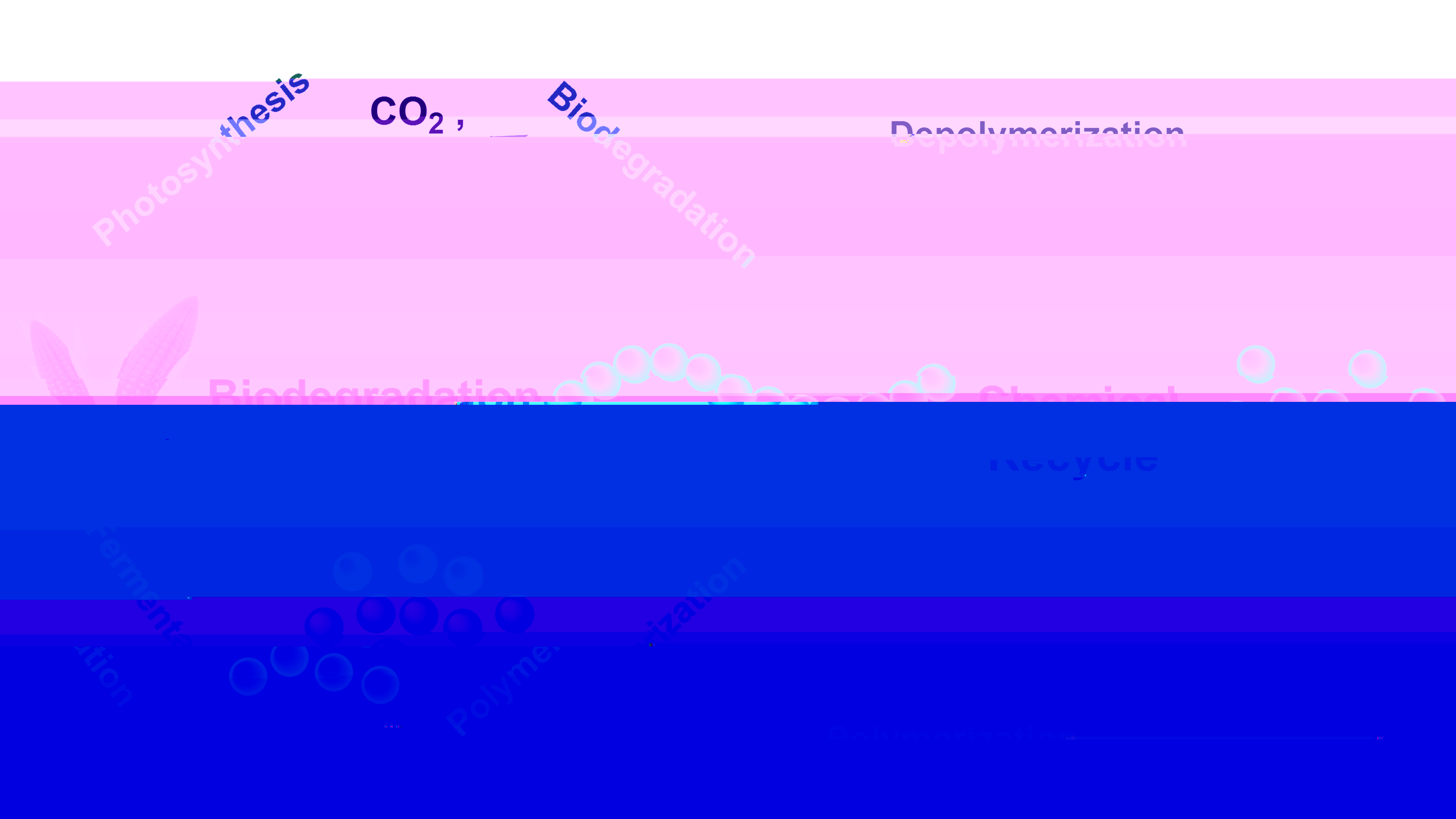 36bbab47f2f744758bf2aa91f3367b82.jpg