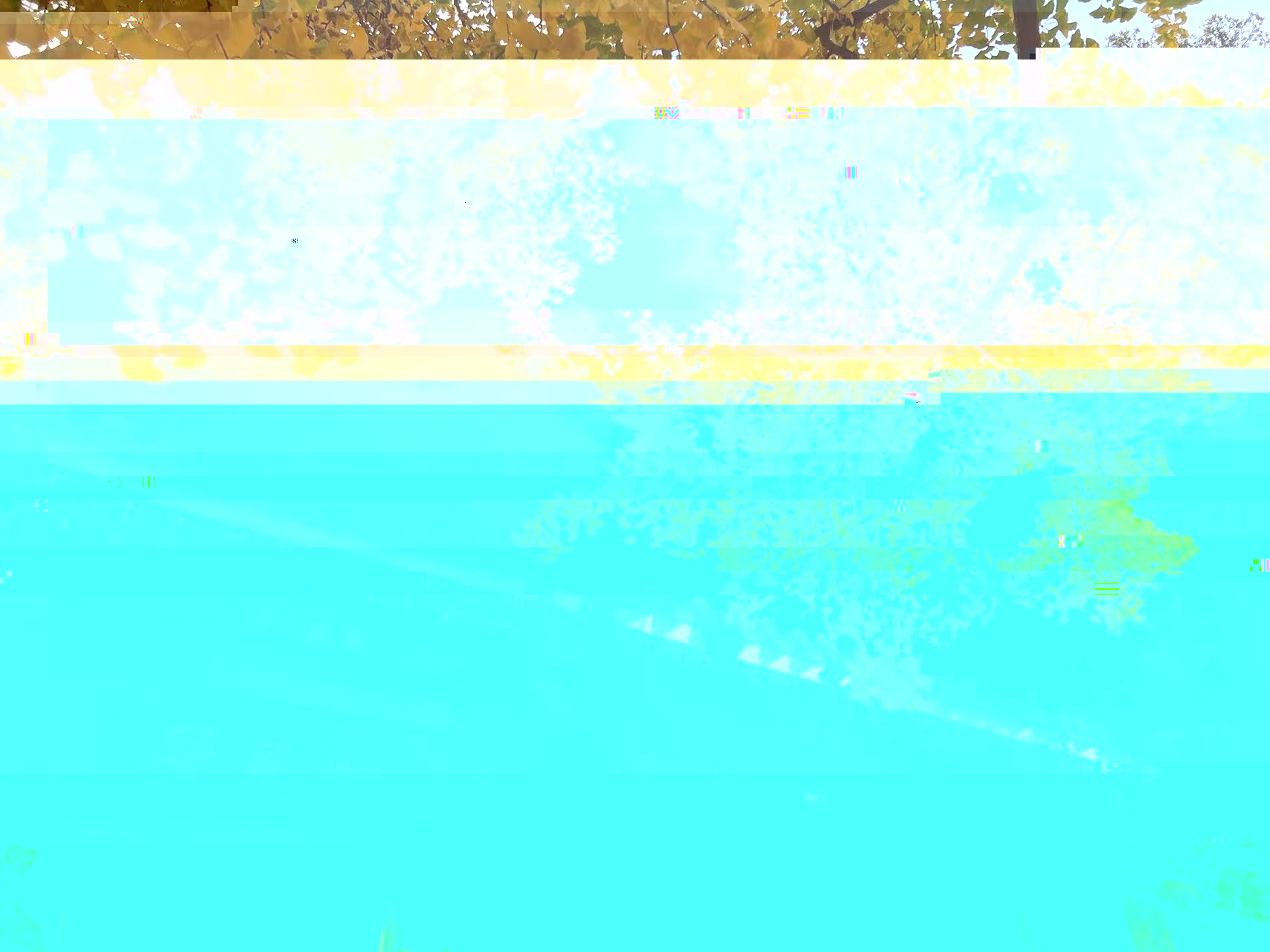 5aa22f1afd5144aa8f92ab3fe79b63dd.jpg