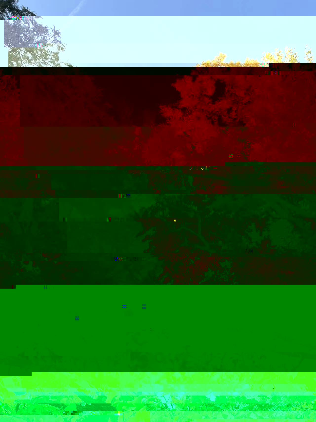 96df3c31ed234c31a2d382129a0ebb41.jpg