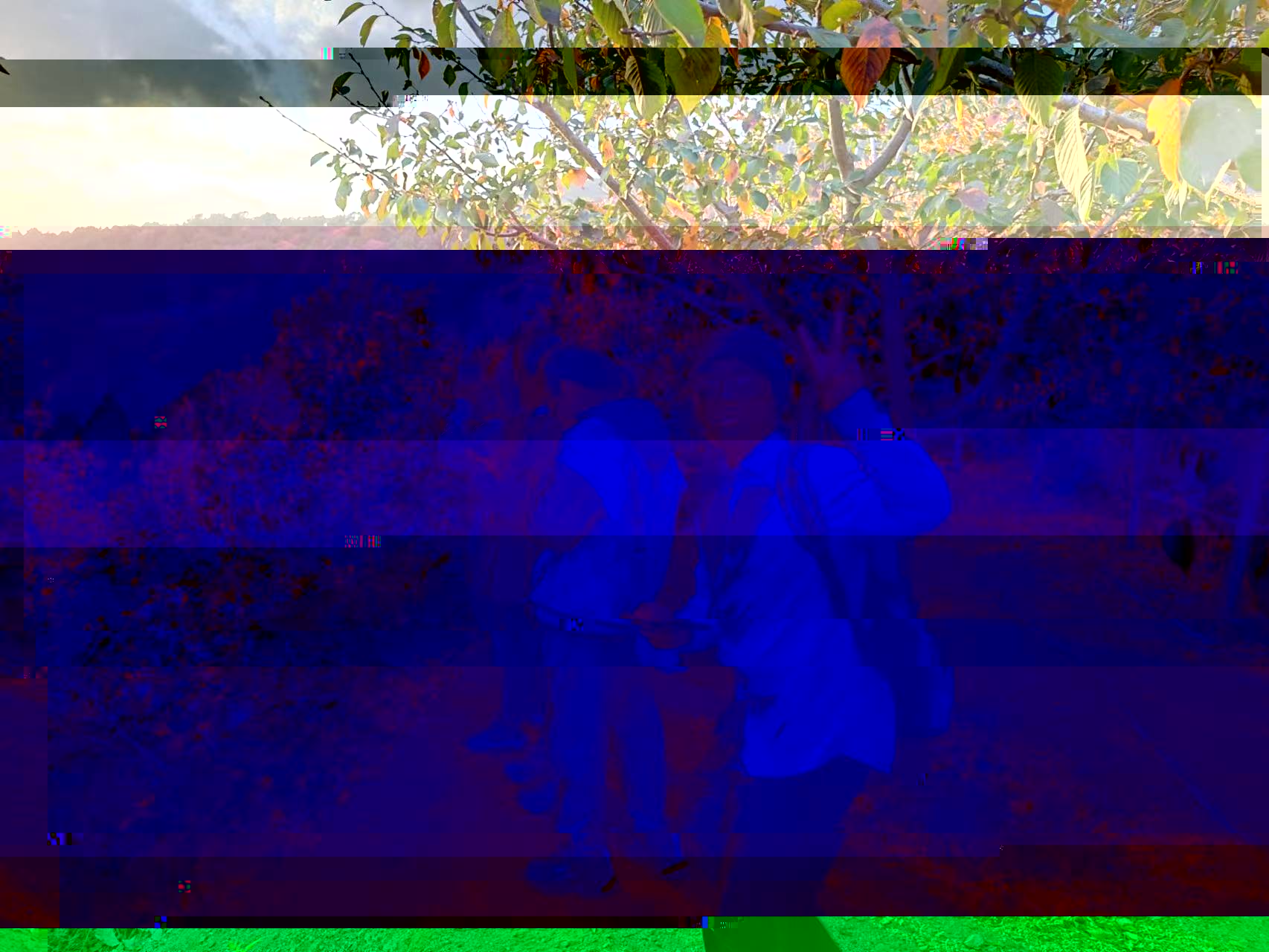 a41d5920ef93453a968f515c312d6191.jpg